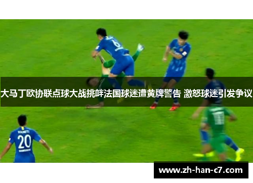 大马丁欧协联点球大战挑衅法国球迷遭黄牌警告 激怒球迷引发争议